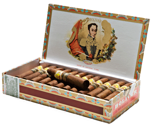 Bolivar Petit Belicosos Edicion Limitada 2009