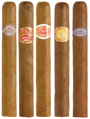 5 Petit Coronas 5 Petit Coronas