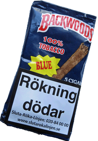 Backwoods Blue 5-pack