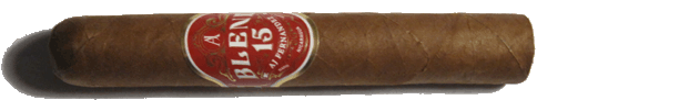 Blend 15 Robusto