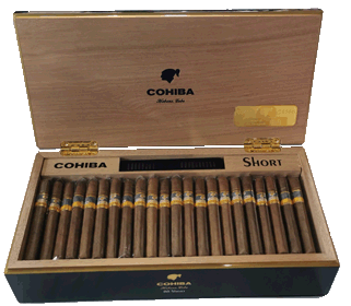 Cohiba Short Year of The Dragon Cohiba Short Year of The Dragon