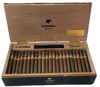 Cohiba Short Year of The Dragon