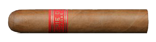 Partagas Serie D No.5