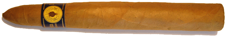 Santa Damiana Torpedo Santa Damiana Torpedo