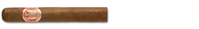 Saint Luis Rey Regios Saint Luis Rey Regios