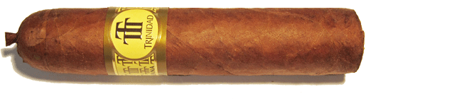 Trinidad Vigia